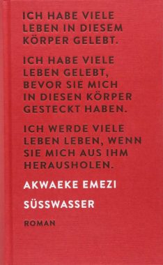 Akwaeke Emezi: Süßwasser