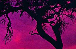 Meja Mwangi: Die Wilderer