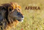 Wildes Afrika Kalender 2024