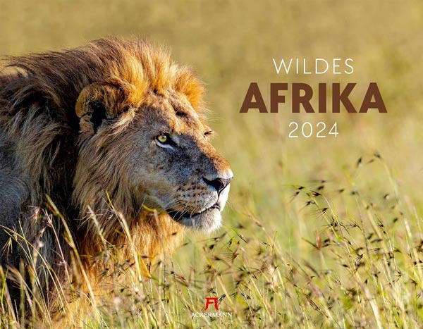 Wildes Afrika Kalender 2024