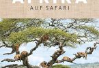 Afrika - Auf Safari