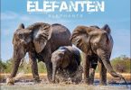 Elefanten Kalender 2024