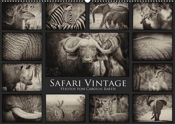 Safari Vintage 2024